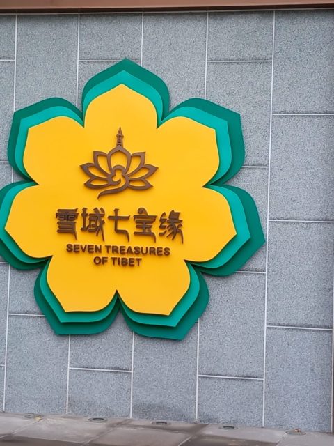 49119153-ac67-4e41-a6f2-ec57dac0f37d